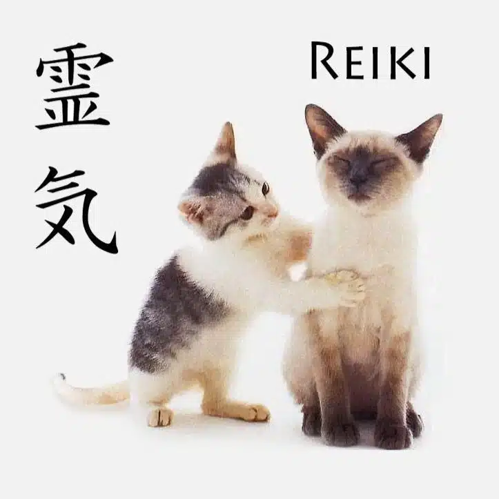 Le Reiki pour les animaux 1 Magnétiseur et masseur / Amasa Zen Yalouz Ghessane reiki pour les animaux